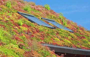 Straight Soley living roof systems
