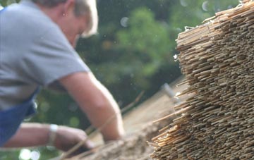 professional Straight Soley thatchers